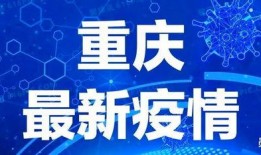 重庆太阳最新爆料新闻,最新爆料新闻深度解析